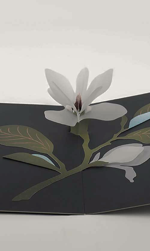 Magnolia マグノリア ポップアップカード / Pure Alchemy