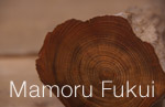 Fukui Mamoru