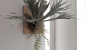 Planter : Round, Cubic, Big Round プランター / Marutomi