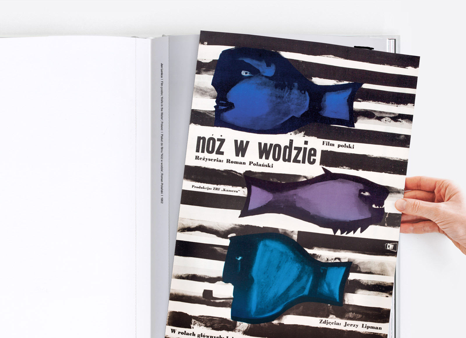 詳細画像 ワイド