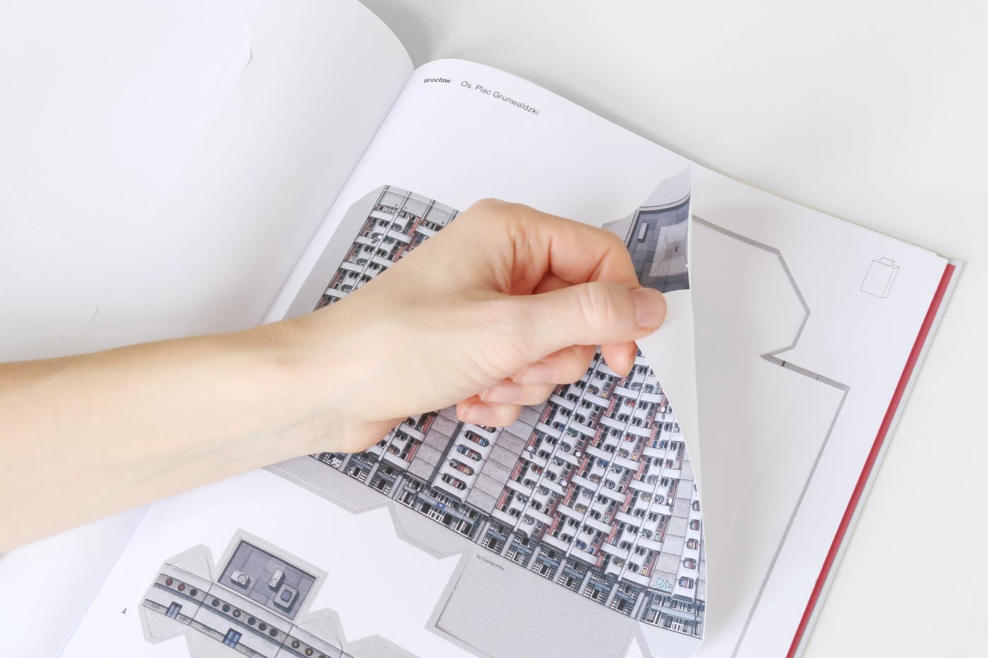 詳細画像 ワイド