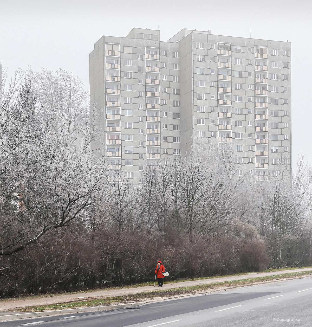 詳細画像 ワイド