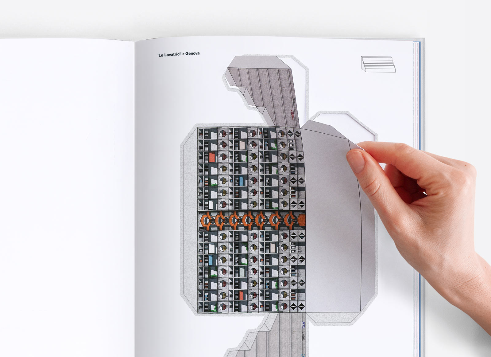 詳細画像 ワイド