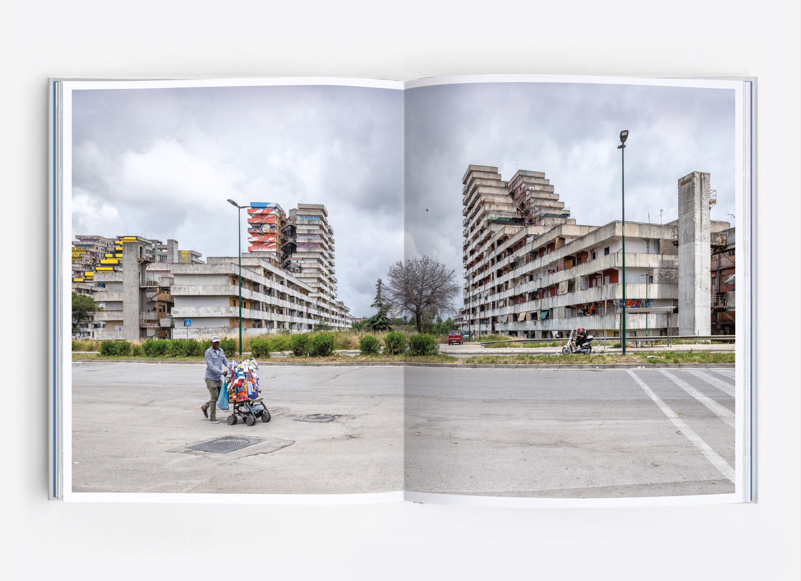 詳細画像 ワイド