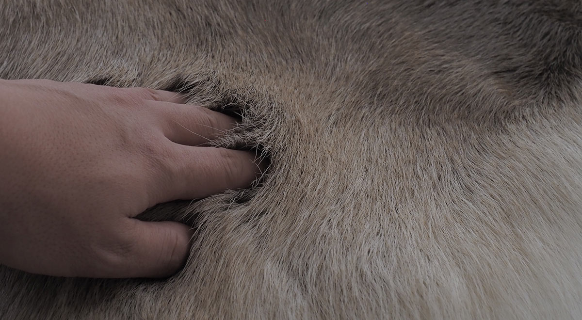 Reindeer Hide Rug レインディアハイドラグ（※トナカイ）/ ORCOMPRODUCTS