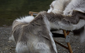 Reindeer Hide Rug　レインディアハイドラグ（※トナカイ）/ ORCOMPRODUCTS