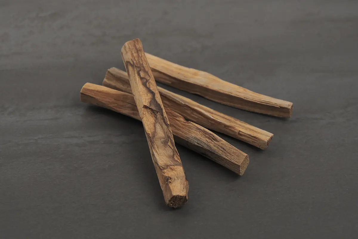 製品メイン画像