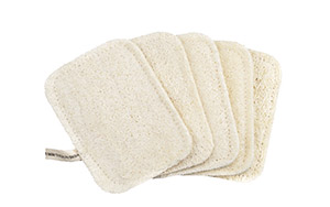 Loofah Fibrous Dish Washing Sponge ルーファー ディッシュウォッシュスポンジ