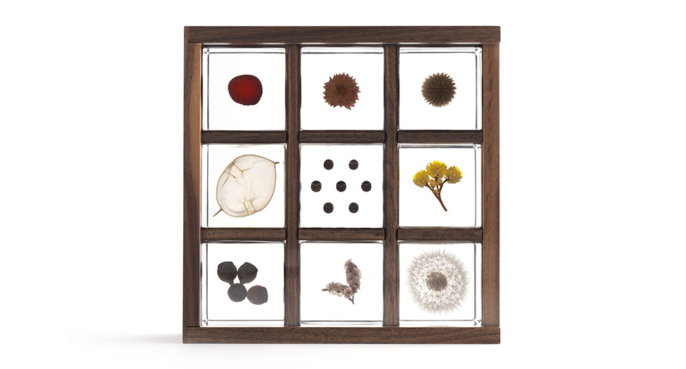 Collection Box / Sola Cube