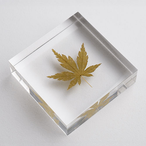 製品イメージ