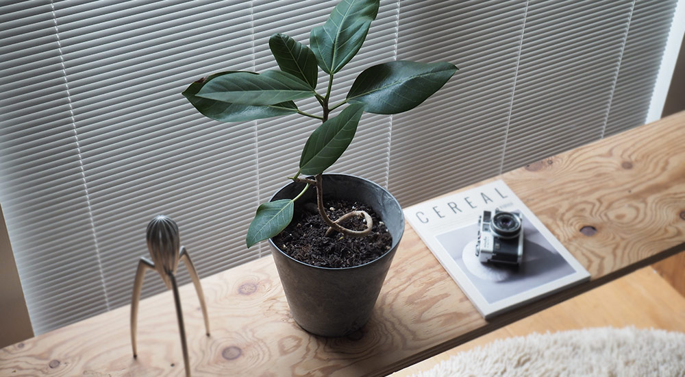 Art Stone Planter プランター