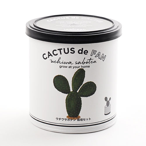 Cactus de Cactus サボテン栽培キット