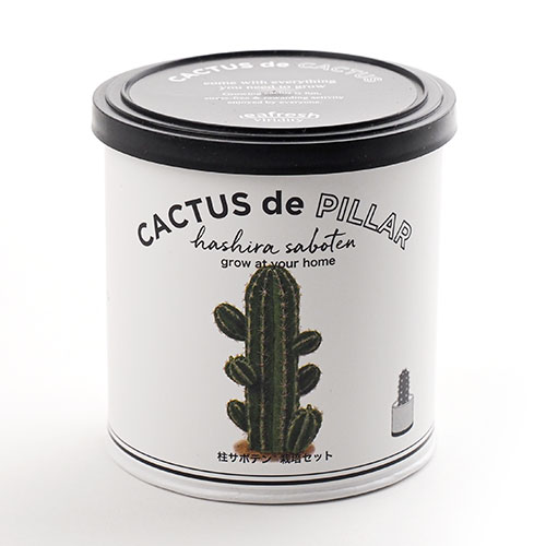 Cactus de Cactus サボテン栽培キット