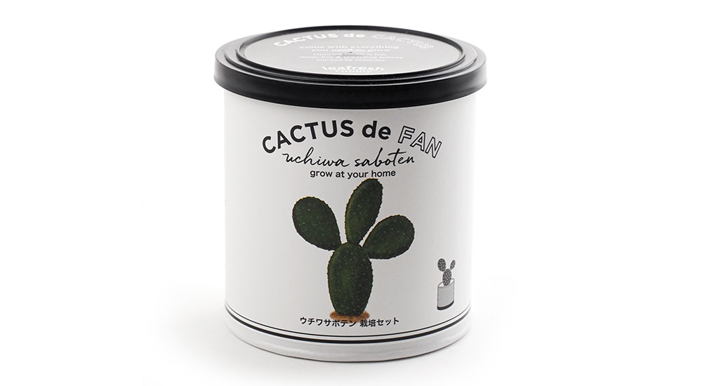 CACUTUS de CACUTUS（Fan・Piller・Round）サボテン栽培キット / Seishin