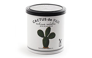 CACUTUS de CACUTUS（Fan・Pillar・Round）サボテン栽培キット / Seishin