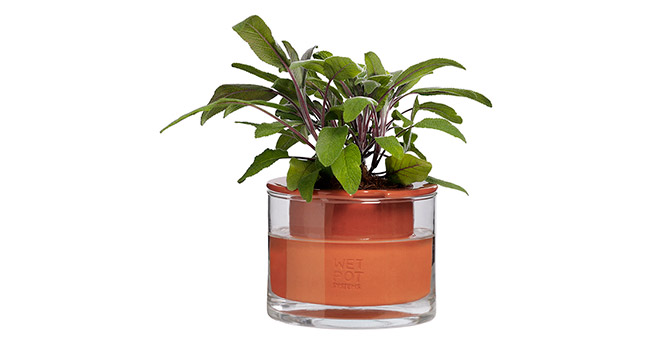 Wet Pot System ウェット ポット