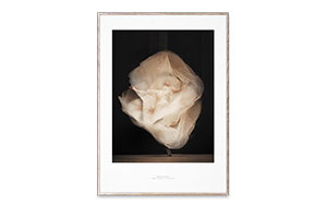 Essence of Ballet 01 エッセンス オブ バレエ 01 / PAPER COLLECTIVE