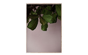 Green Leaves グリーンリーブス / PAPER COLLECTIVE