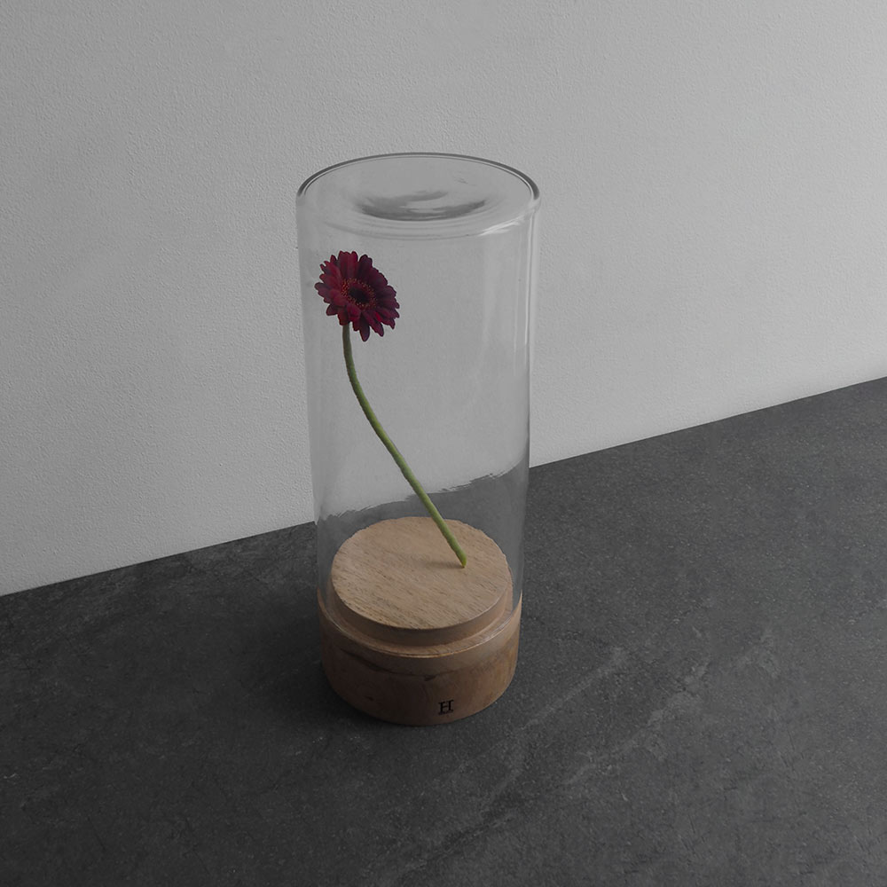 Glass Dome ガラスドーム / HERE by DETAIL