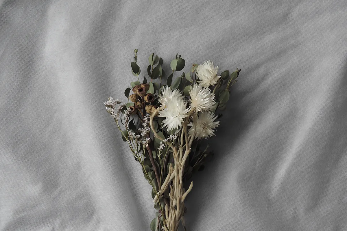 Boxed Dry Flowers -Billy Button ／ D-layer