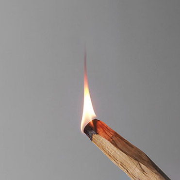 PALOSANTO パロサント / LANDSCAPE PRODUCTS