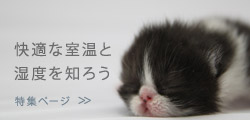 <特集>快適な室温と湿度を知ろう