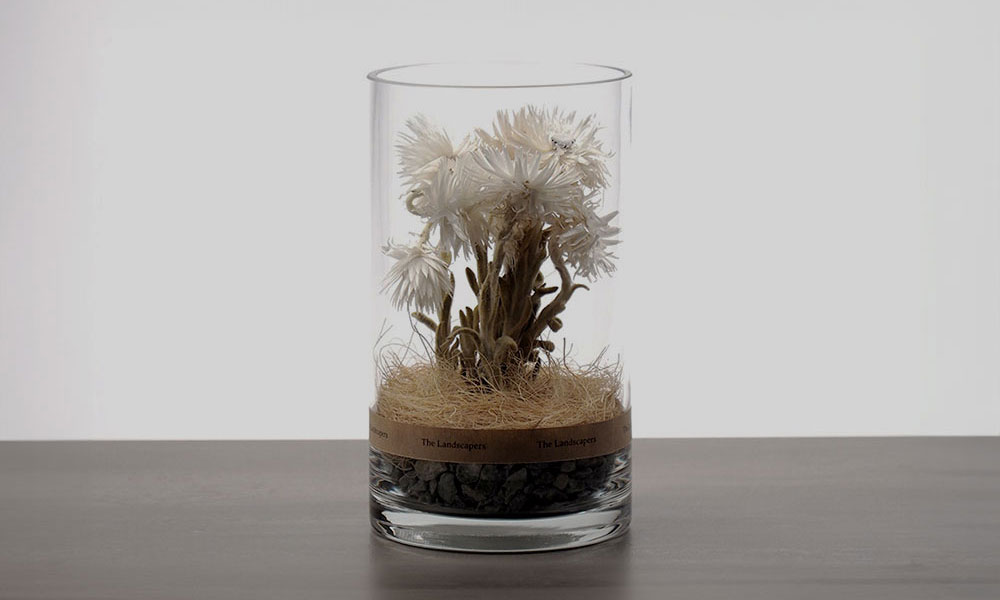 Dry Cylinder ドライシリンダー / The Landscapers