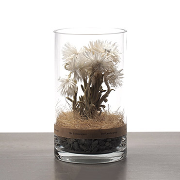 Dry Cylinder ドライシリンダー / THE LANDSCAPERS