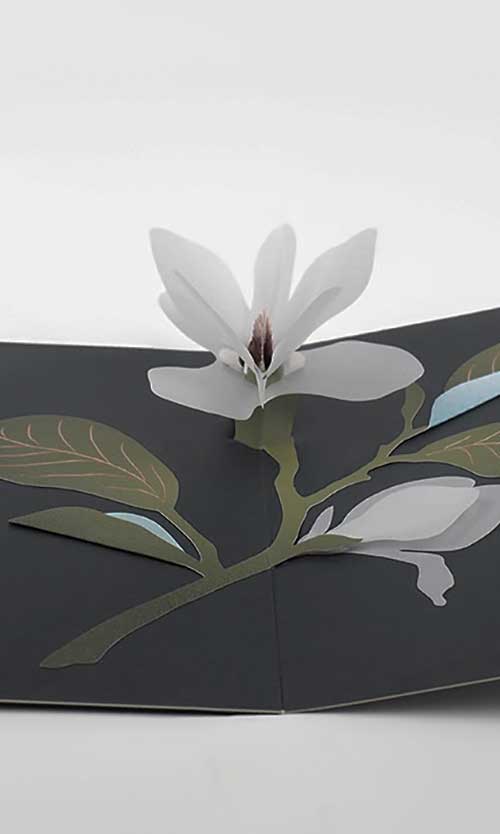 Magnolia マグノリア ポップアップカード / Pure Alchemy