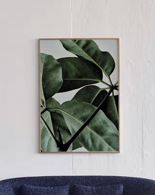 Green home 01 グリーンホーム 01 / Paper Collective