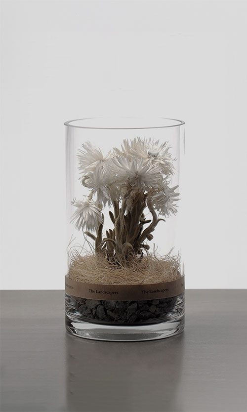 Dry Sylinder ドライシリンダー / Landscapers