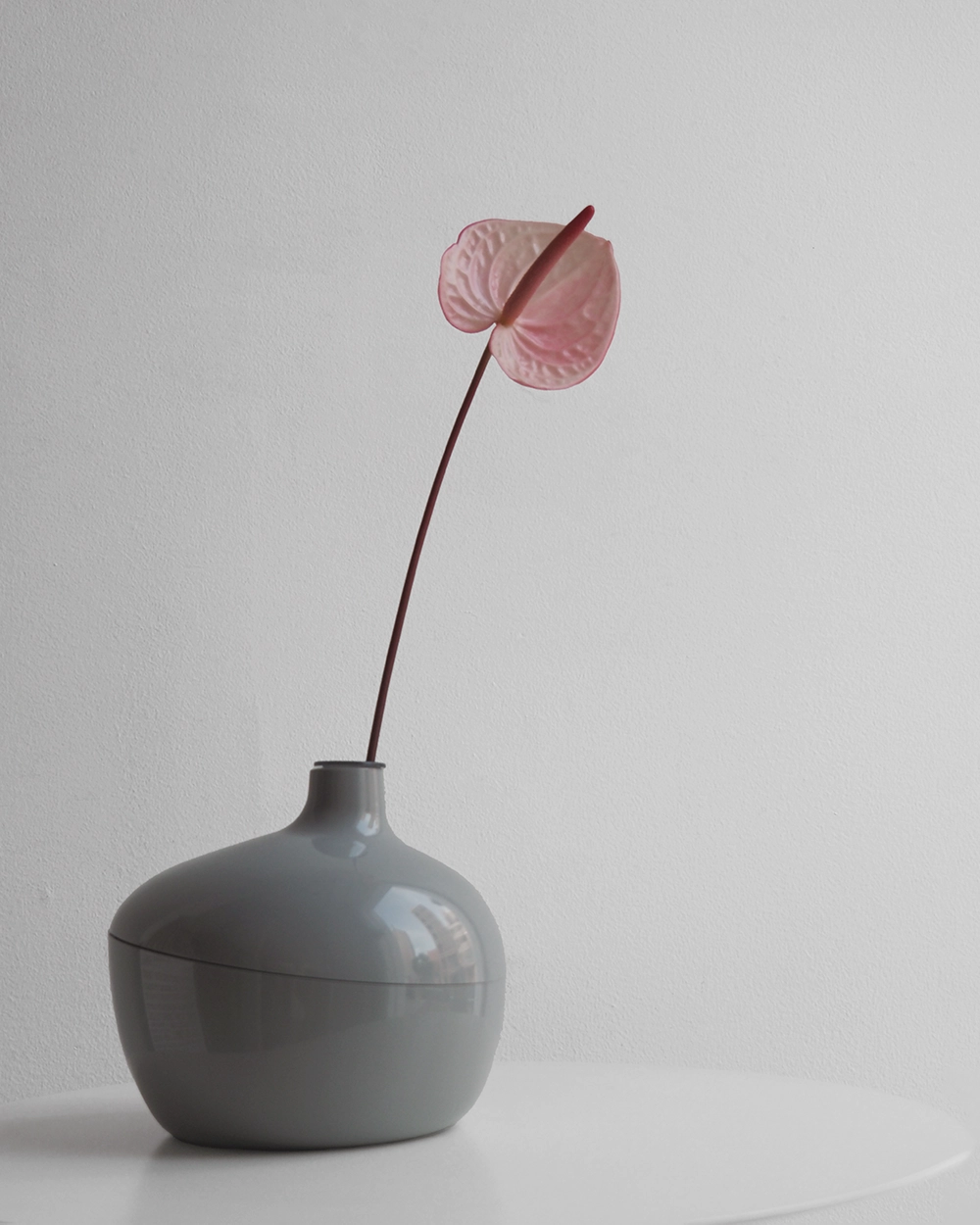 VERTU DE VASE ヴェルチュ ドゥ ヴァーズ マルチオーガナイザー / Sceltevie