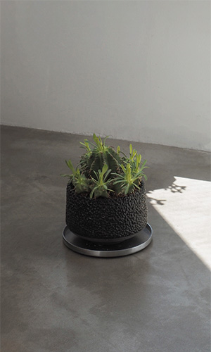 Rock Glazed Planter ロックグレーズドプランター / Hinodeya
