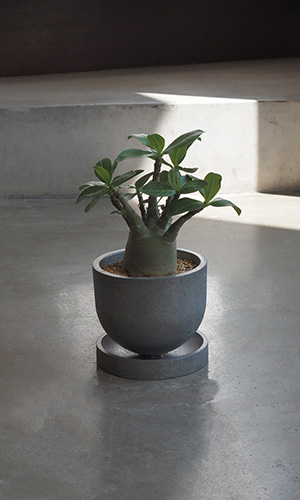 Planter GORDIE ゴーディー プランター / FOUNTAIN_FOUNDRY