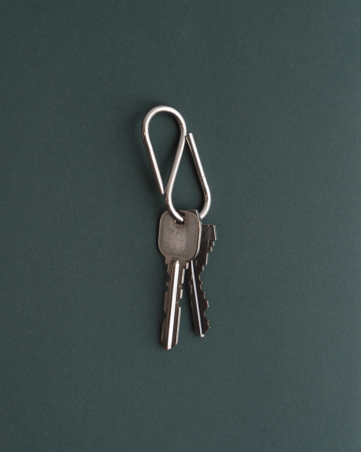 Bill S-Shaped Key Ring / CDW