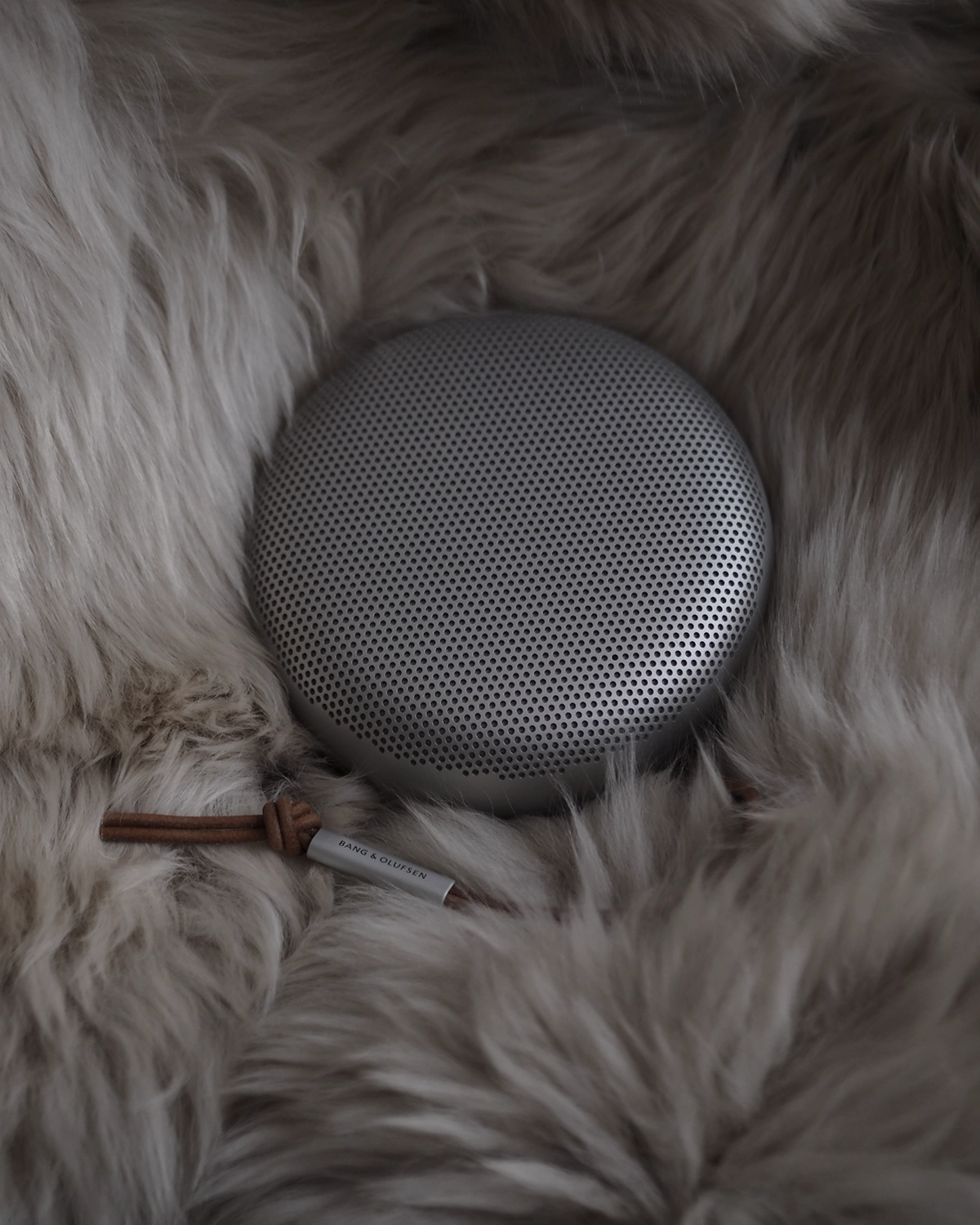 Beosound A1 2nd gen ポータブルスピーカー / Bang & Olufsen