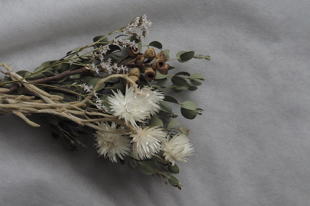 Boxed Dry Flowers -Globe amaranth- ／ D-layer