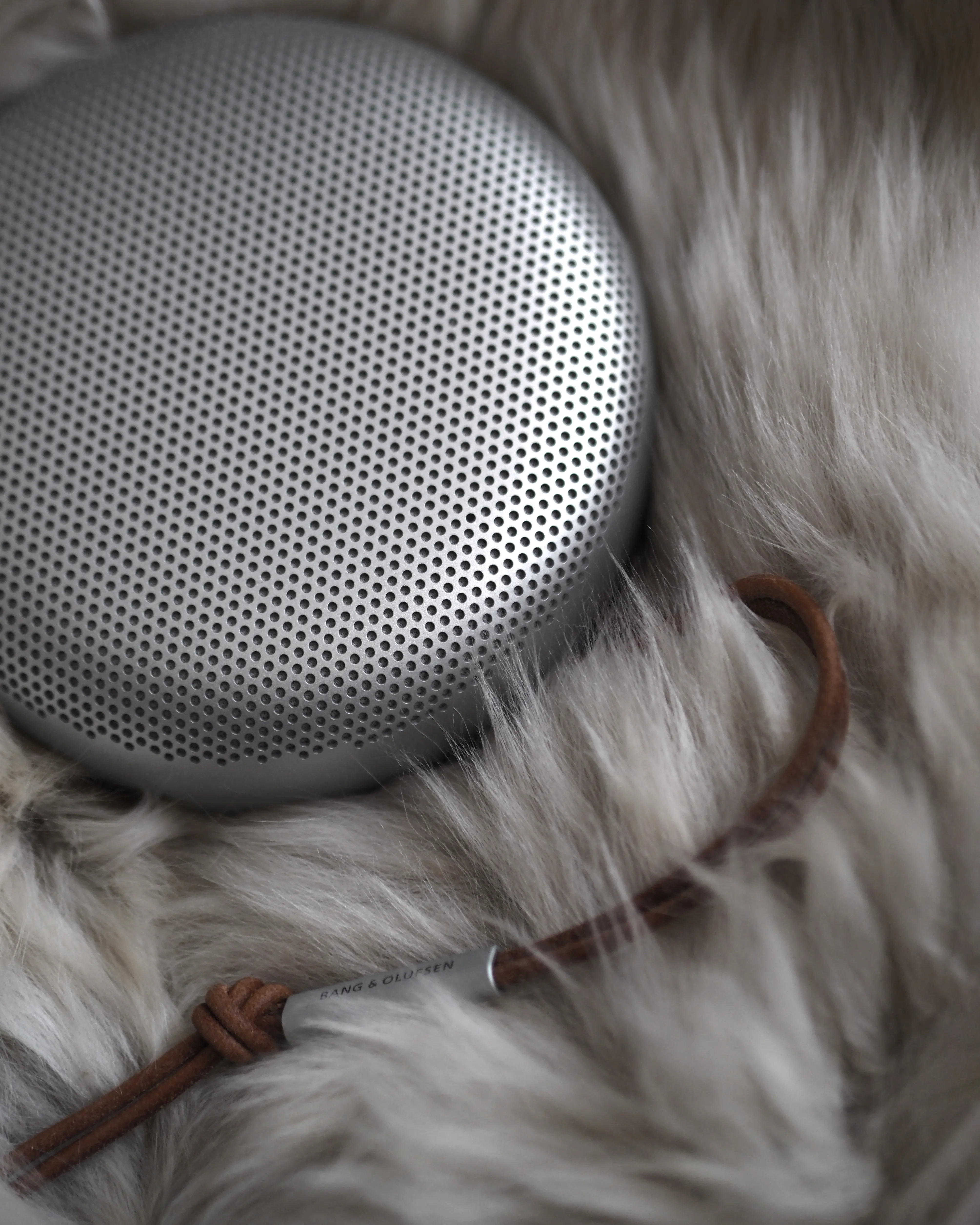 Beosound A1 2nd gen ポータブルスピーカー / Bang & Olufsen