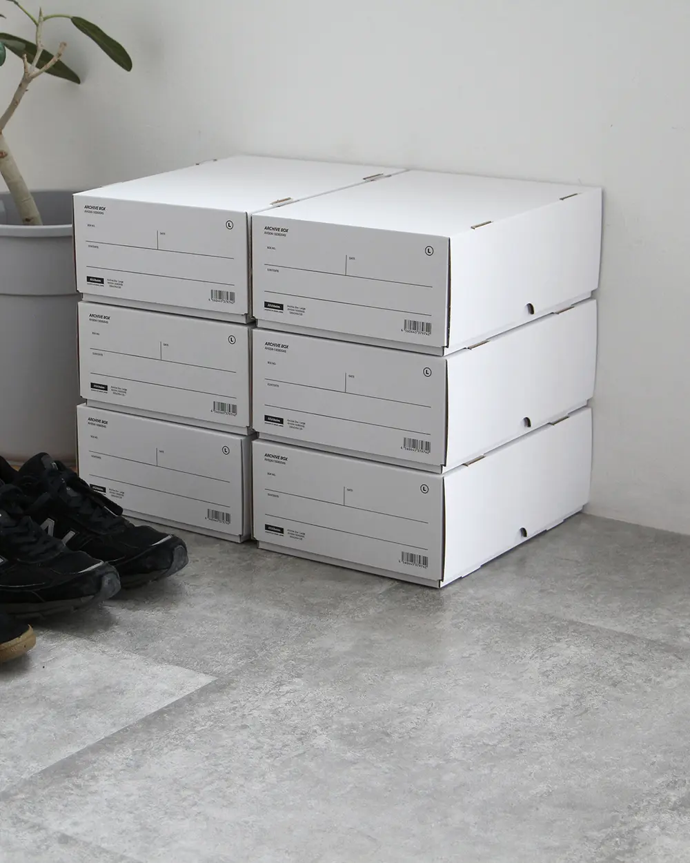 Archive Box アーカイブボックス 2箱入り / Anaheim